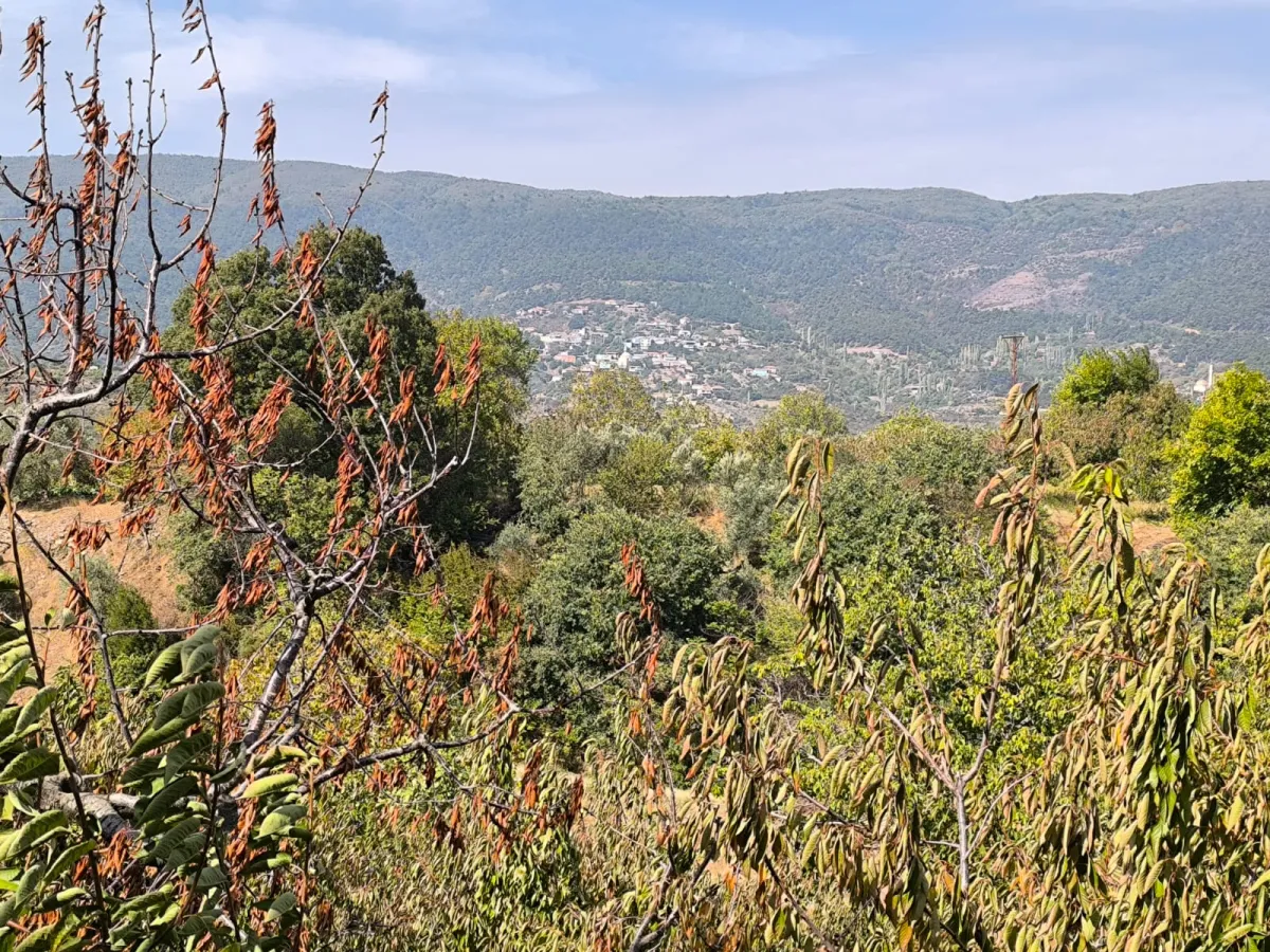 ACİL SATILIK KISA SÜRELİ FIRSAT FİYAT ⚡ ELEKTRİĞİ VE SUYU VAR– KÖY DİBİNDE