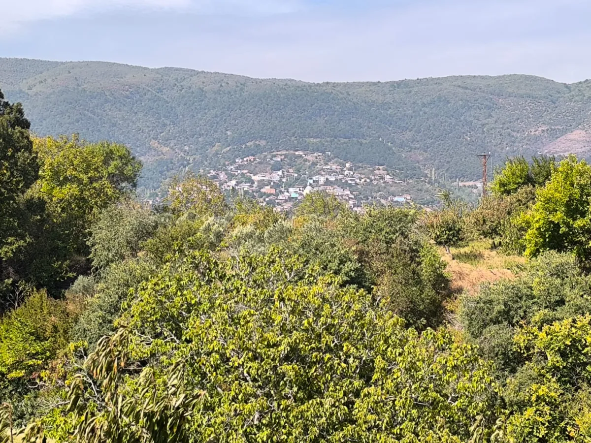 ACİL SATILIK KISA SÜRELİ FIRSAT FİYAT ⚡ ELEKTRİĞİ VE SUYU VAR– KÖY DİBİNDE