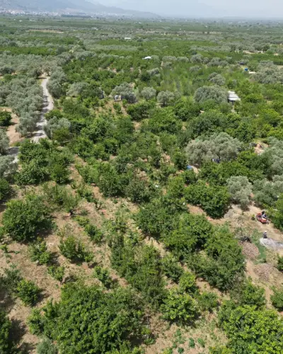 6.250.00 TL  Tek Tapu   Kirazlık - Arazi | Zero Emlak - Fotoğraf 7 Arka Plan