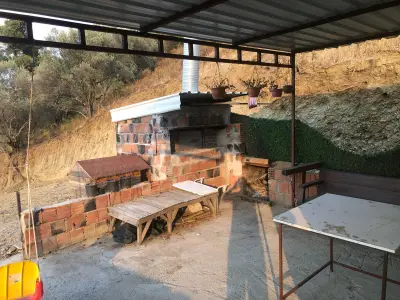 Turgutlu Yayla’da Manzaralı Zeytinlik – Doğayla İç İçe Yaşam  4 gün geçerli fiyat - Arazi | Zero Emlak - Fotoğraf 13 Arka Plan