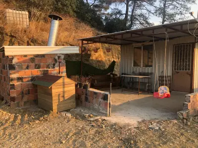 Turgutlu Yayla’da Manzaralı Zeytinlik – Doğayla İç İçe Yaşam  4 gün geçerli fiyat - Arazi | Zero Emlak - Fotoğraf 4 Arka Plan